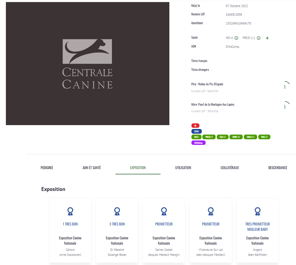 2 capture d ecran 575